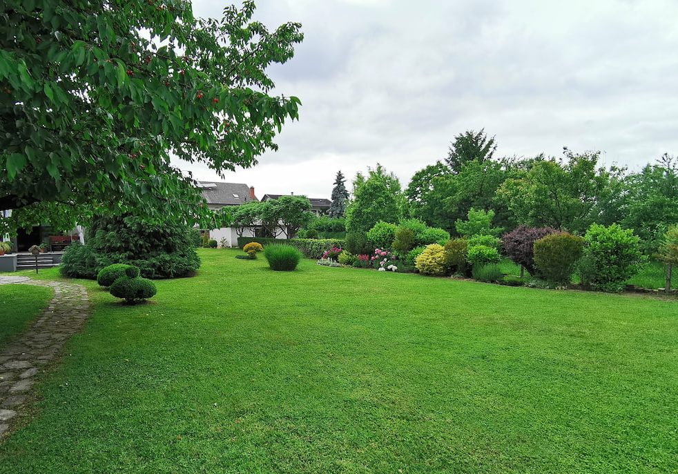 Septic drain field landscaping